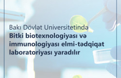 BDU-da Bitki biotexnologiyası və immunologiyası elmi-tədqiqat laboratoriyası yaradılır