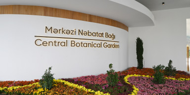 Biologiya fakültəsinin tələbələri Mərkəzi Nəbatat Bağına ekskursiyada iştirak edib