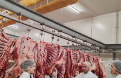 BDU tələbələri "Araz Supermarket” MMC-də istehsalat təcrübəsində