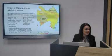 Coğrafiya fakültəsində “Azərbaycanda sahibkarlığa yönəldilmiş dövlət investisiyalarının səmərəliliyinin qiymətləndirilməsi” mövzusunda elmi seminar keçirilib