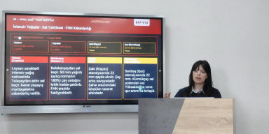 Bakı Dövlət Universitetində Böyük Qafqazın çay yataqlarının morfodinamikasına həsr edilmiş elmi seminar keçirilib