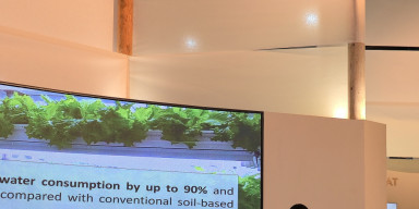 BDU WUF13 çərçivəsində Biznes və İnnovasiya Mərkəzi platformasında innovativ layihələrlə çıxış edib