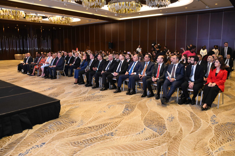 XİN-in təşkilatçılığı, BDU və Qoşulmama Hərəkatı Gənclər Təşkilatının əməkdaşlığı ilə “Afrika Günü”nə həsr olunmuş konfrans keçirilib