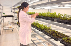Biologiya fakültəsinin tələbələri Grand Agro Invitro MMC-də uzunmüddətli təcrübə keçir