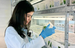 Biologiya fakültəsinin tələbələri Grand Agro Invitro MMC-də uzunmüddətli təcrübə keçir