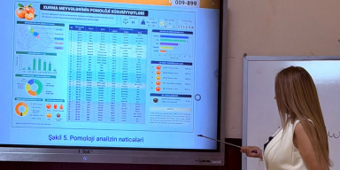 Xurma genotiplərinin biokimyəvi və molekulyar-genetik xüsusiyyətlərinə həsr olunmuş elmi seminar keçirilib