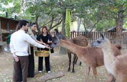 BDU tələbələri üçün Bakı Zooloji Parkında innovativ dərslər