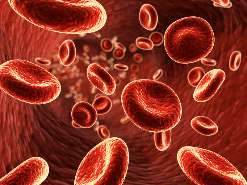 Biologiya fakültəsi TEC-in növbəti elmi seminarı keçirilib