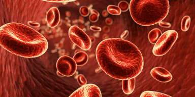 Biologiya fakültəsi TEC-in növbəti elmi seminarı keçirilib