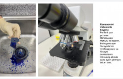Biologiya fakültəsi TEC-in növbəti elmi seminarı keçirilib